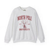 North Pole University