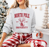 North Pole University